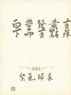 白带发黄有恶臭下面有点痒