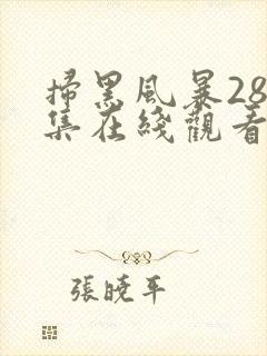 扫黑风暴28全集在线观看