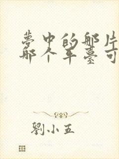 梦中的那片海在哪个平台可以看封面