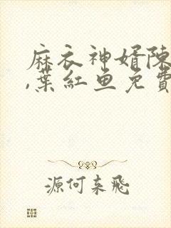 麻衣神婿陈黄皮,叶红鱼免费阅读十六章