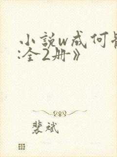 小说w成何体统:全2册》