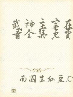 武神主宰在线观看全集免费高清