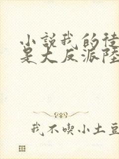 小说我的徒弟都是大反派陆州阅读封面