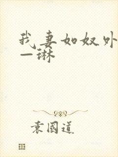 我妻如奴外传——琳封面