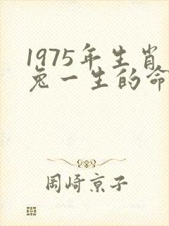 1975年生肖兔一生的命运怎样