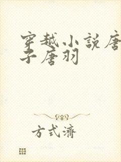 穿越小说唐朝太子唐羽