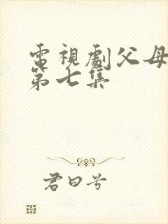 电视剧父母爱情第七集封面