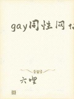 gay同性网站