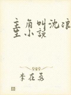 主角叫沈浪的重生小说