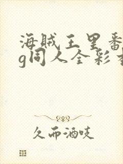 海贼王里番acg同人全彩本子