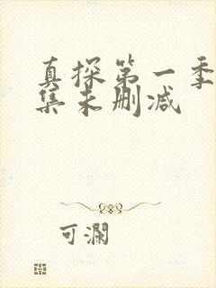 真探第一季第二集未删减封面