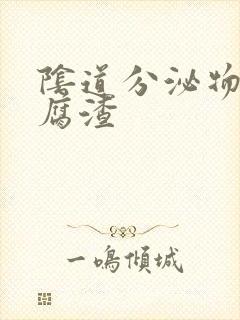 阴道分泌物是豆腐渣