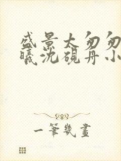 盛景太匆匆宁若曦沈砚舟小说阅读