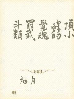 斗罗觉醒顶级剑类武魂的小说