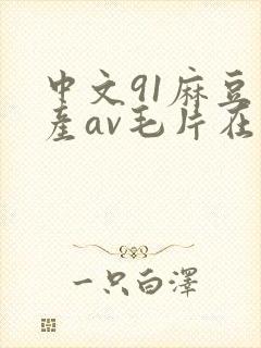 中文91麻豆国产av毛片在线