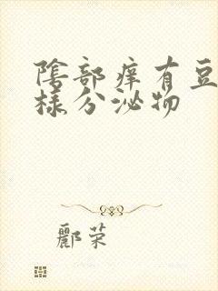 阴部痒有豆腐渣样分泌物