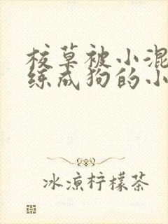 校草被小混混训练成狗的小说