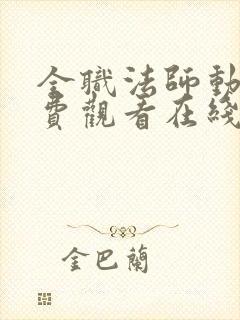 全职法师动漫免费观看在线