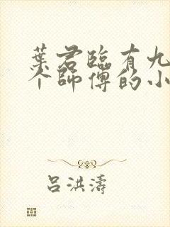 叶君临有九十九个师傅的小说免费阅读封面