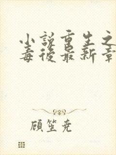 小说重生之将门毒后最新章节列表列表