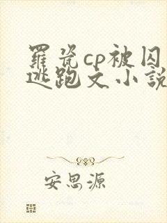 罗瓷cp被囚禁逃跑文小说