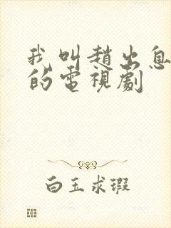 我叫赵出息类似的电视剧