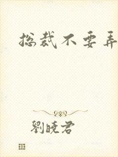 总裁不要弄疼我