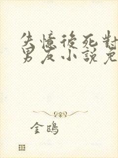 失忆后死对头成男友小说免费阅读