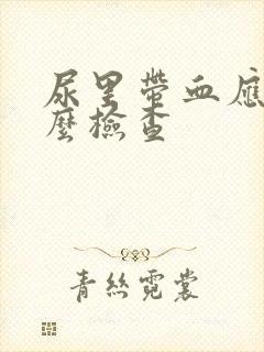 尿里带血应做什么检查