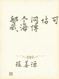 那个网站可以看藏海传