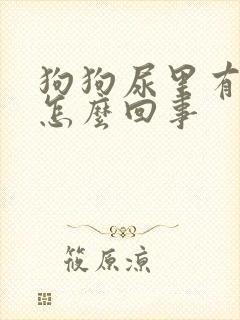 狗狗尿里有血块怎么回事封面