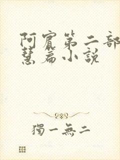 阿宾第二部之钰慧篇小说