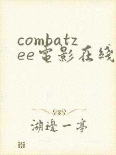 combatzee电影在线观看免费高清