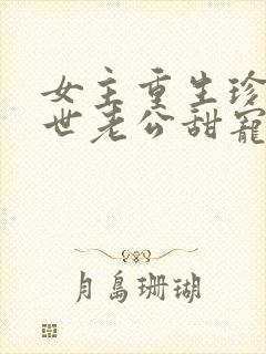 女主重生珍惜前世老公甜宠文封面