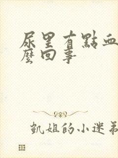 尿里有点血是怎么回事封面