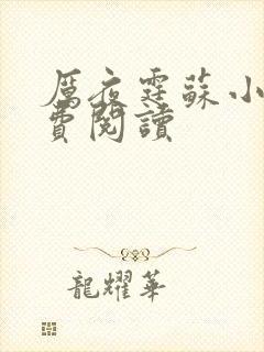 厉夜霆苏小汐免费阅读