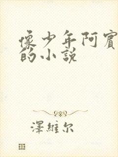 像少年阿宾一样的小说