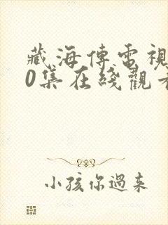 藏海传电视剧40集在线观看