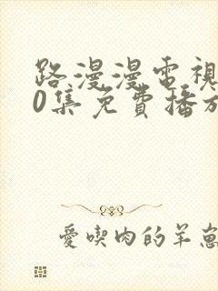 路漫漫电视剧40集免费播放