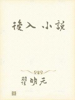 后入 小说