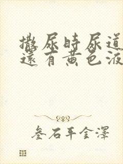 撒尿时尿道刺痛还有黄色液体封面