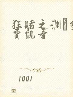 狂赌之渊·双免费观看封面