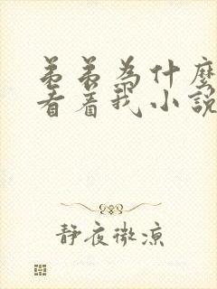 弟弟为什么这样看着我小说txt