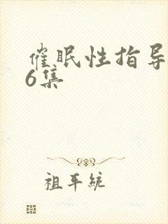 催眠性指导1～6集