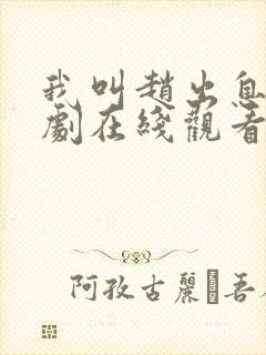 我叫赵出息电视剧在线观看封面