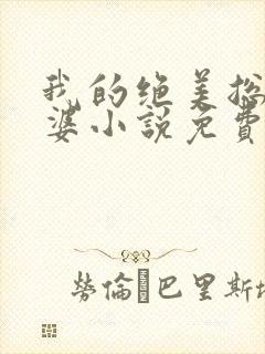 我的绝美总裁老婆小说免费阅读全文