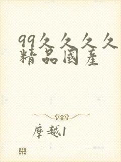 99久久久久久精品国产封面