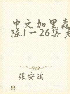 中文加里森敢死队1一26集免费版