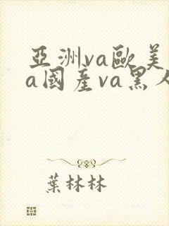 亚洲va欧美va国产va黑人封面