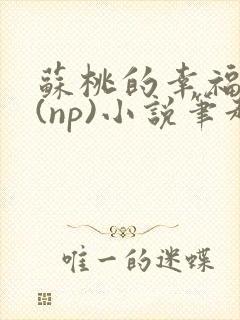 苏桃的幸福生活(np)小说笔趣阁沐沐封面